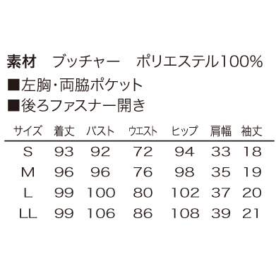 シロタ ワンピース E-3136のイメージ画像