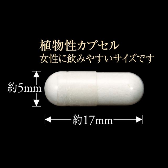 【一般】エステプロ・ラボ プロトン グランプロ 10粒/60粒のイメージ画像
