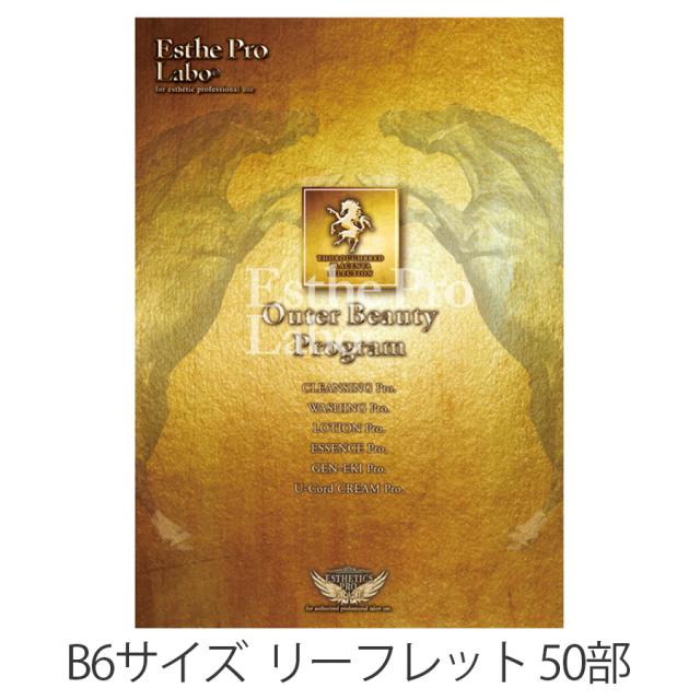 【一般/認定】エステプロ・ラボ ローションプロ 300mlのイメージ画像