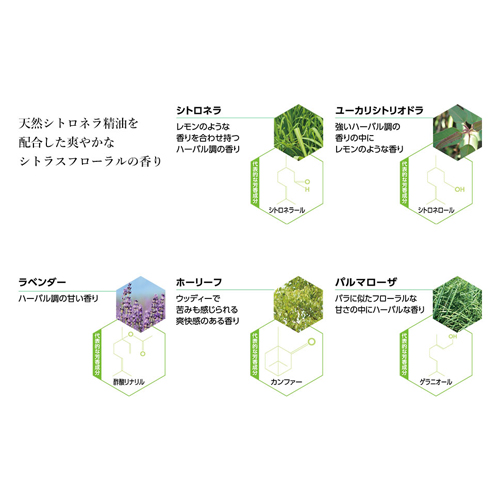 フレーバーライフ OUTDOOR(アウトドア) アロマリードディフューザー 100mlのイメージ画像