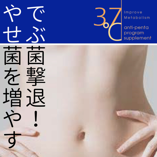37℃ 37sp PFT FiBER J(ピーエフティーファイバー) 1.5g×30包入*のイメージ画像