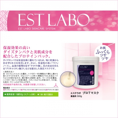 エステラボ WプロTマスク 500g*のイメージ画像