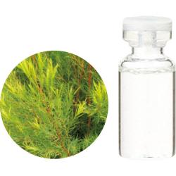 生活の木 精油 有機ティートゥリー 10ml