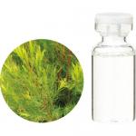 生活の木 精油 有機ティートゥリー 10ml