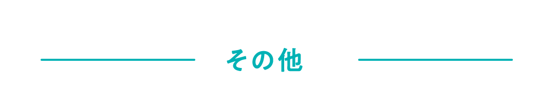 その他